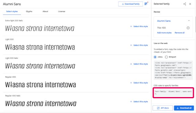 google fonts skopiowane style CSS